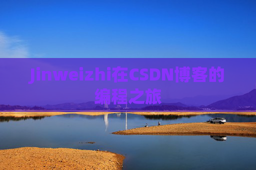 Jinweizhi在CSDN博客的编程之旅